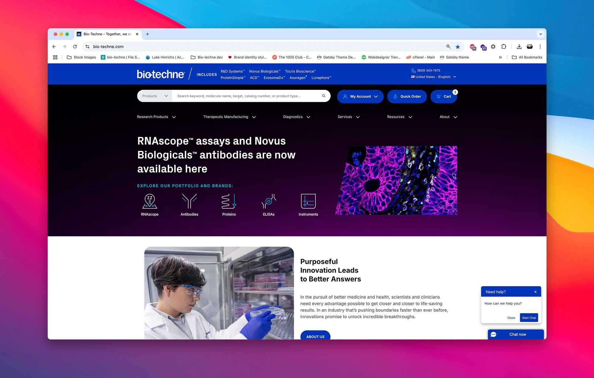 One Web project