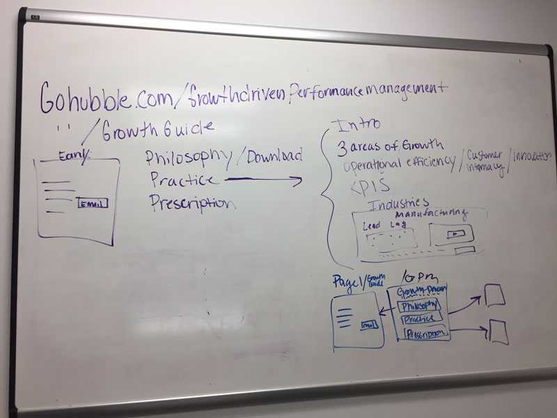 Growth performance mangement flow