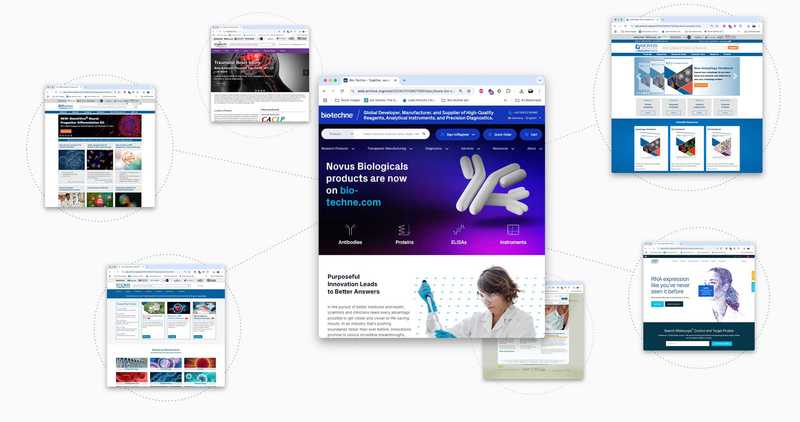 combining bio-techne websites into one